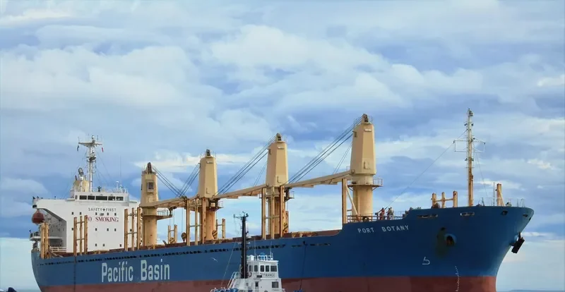 PORT BOTANY Bulk Carrier IMO 9256353 photo 9