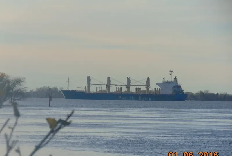 PORT BOTANY Bulk Carrier IMO 9256353 photo 10