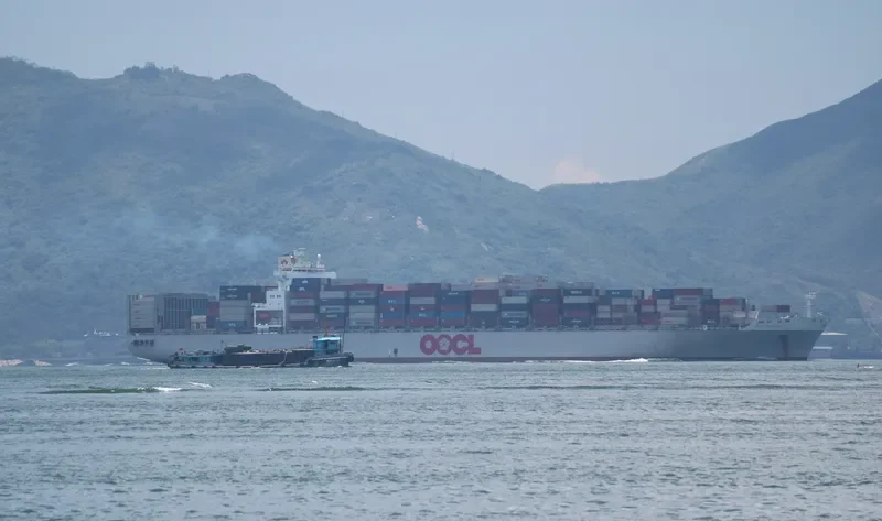 MSC QINGDAO Container Ship IMO 9256470