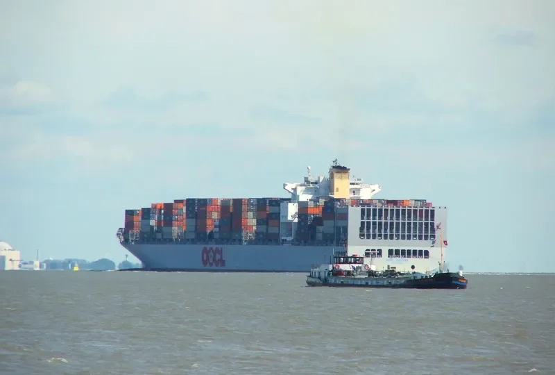 MSC QINGDAO Container Ship IMO 9256470 photo 4