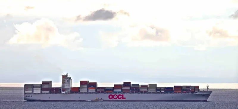 MSC QINGDAO Container Ship IMO 9256470 photo 8