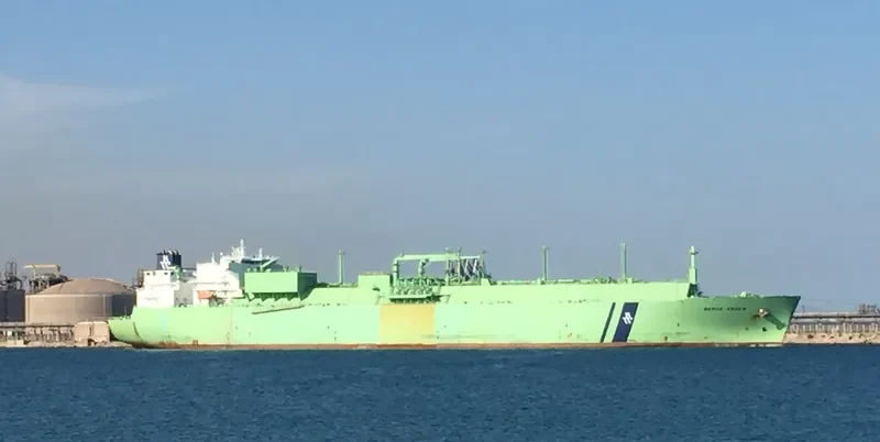 BERGE ARZEW General Cargo IMO 9256597 photo 4