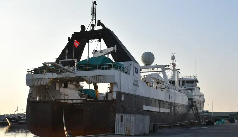 JAWHART AL WUSTA General Cargo IMO 9256664 photo 2