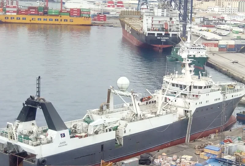 JAWHART AL WUSTA General Cargo IMO 9256664 photo 5