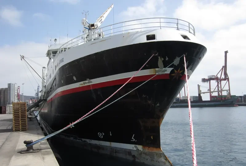 JAWHART AL WUSTA General Cargo IMO 9256664 photo 10
