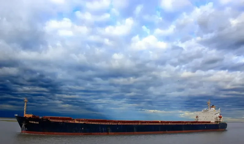 XIN JI XING Bulk Carrier IMO 9256872 photo 4