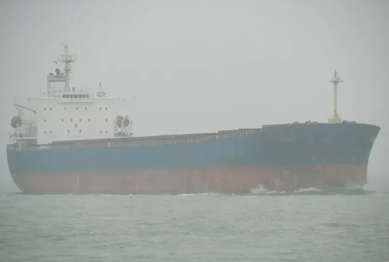 XIN JI XING Bulk Carrier IMO 9256872 photo 6