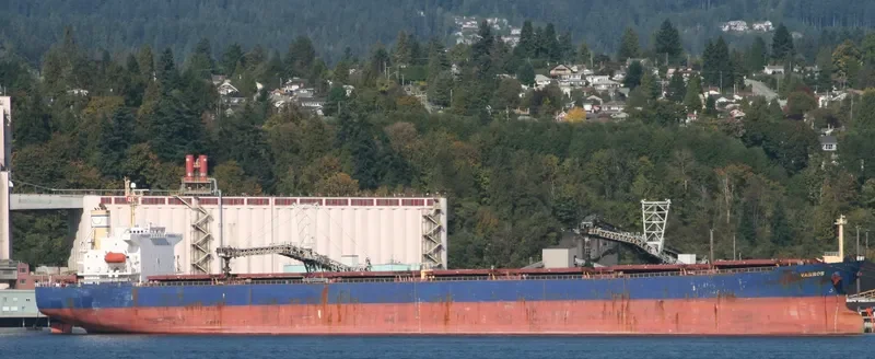 XIN JI XING Bulk Carrier IMO 9256872 photo 8