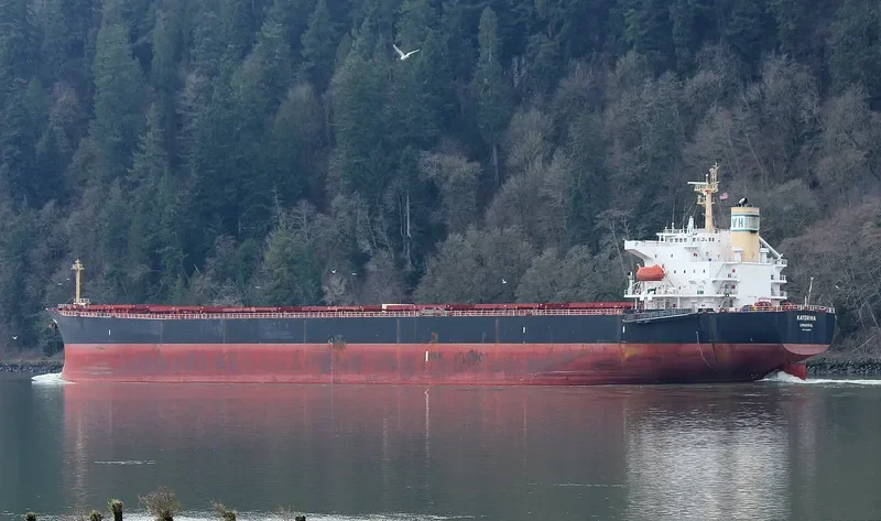 KATERINA Bulk Carrier IMO 9256884 photo 8