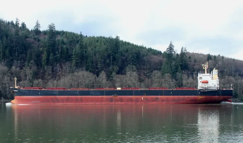 KATERINA Bulk Carrier IMO 9256884 photo 9