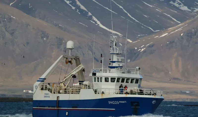 FROSTI General Cargo IMO 9256963 photo 5