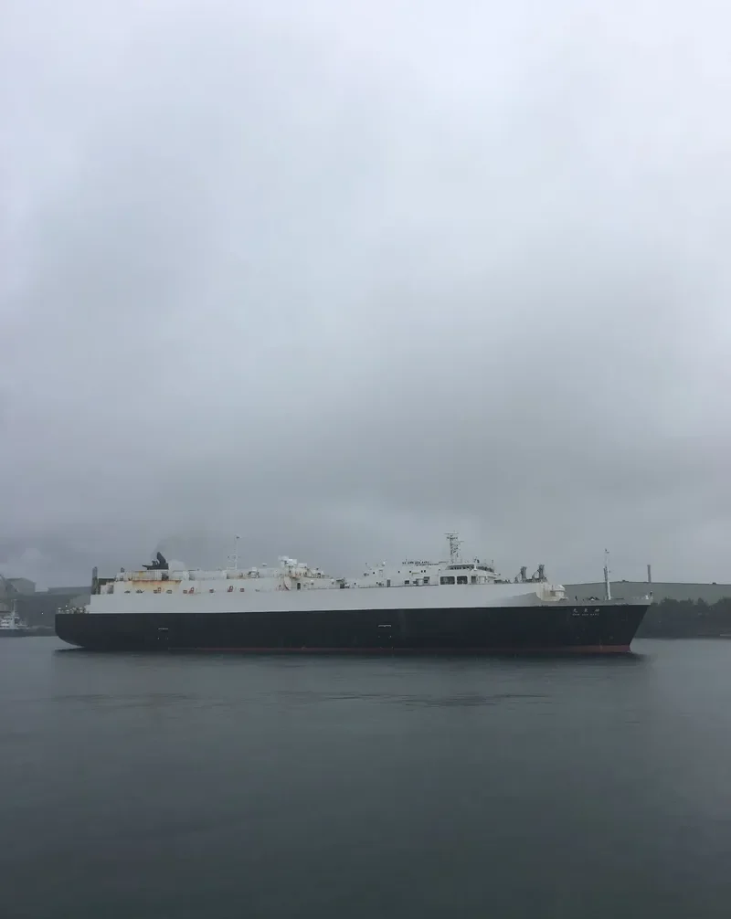 SHINSEN MARU General Cargo IMO 9257034