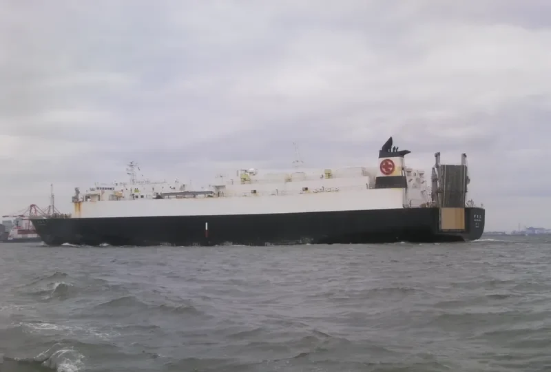 SHINSEN MARU General Cargo IMO 9257034 photo 9