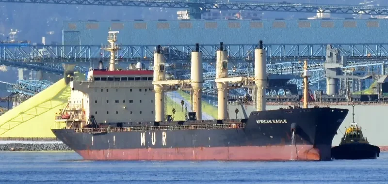 AFRICAN EAGLE Bulk Carrier IMO 9257046 photo 2