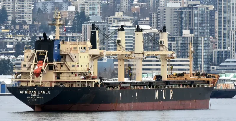 AFRICAN EAGLE Bulk Carrier IMO 9257046 photo 3
