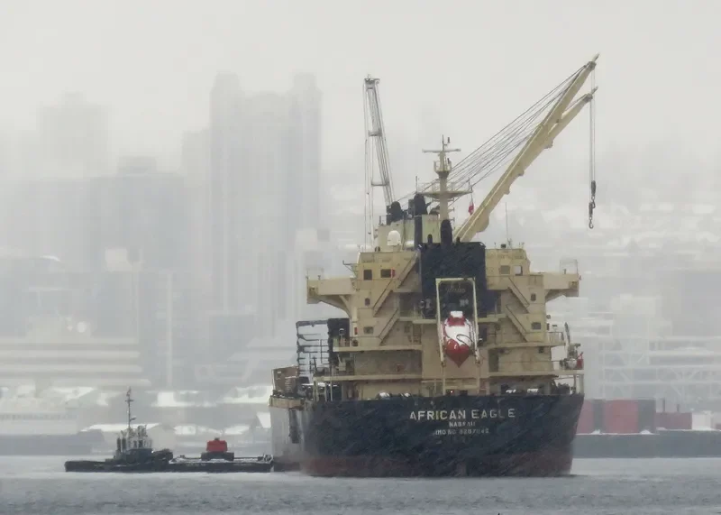 AFRICAN EAGLE Bulk Carrier IMO 9257046 photo 4