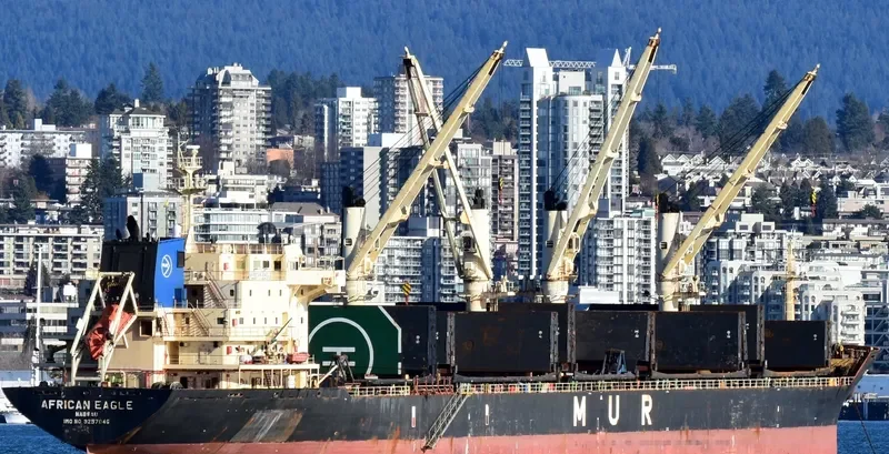 AFRICAN EAGLE Bulk Carrier IMO 9257046 photo 5
