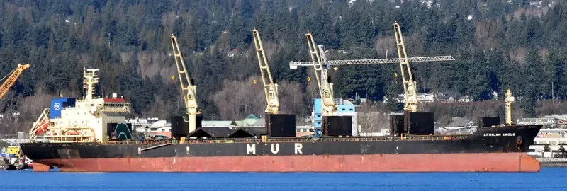 AFRICAN EAGLE Bulk Carrier IMO 9257046 photo 6