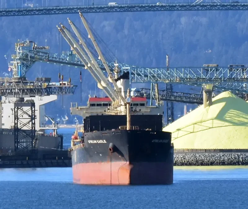 AFRICAN EAGLE Bulk Carrier IMO 9257046 photo 7