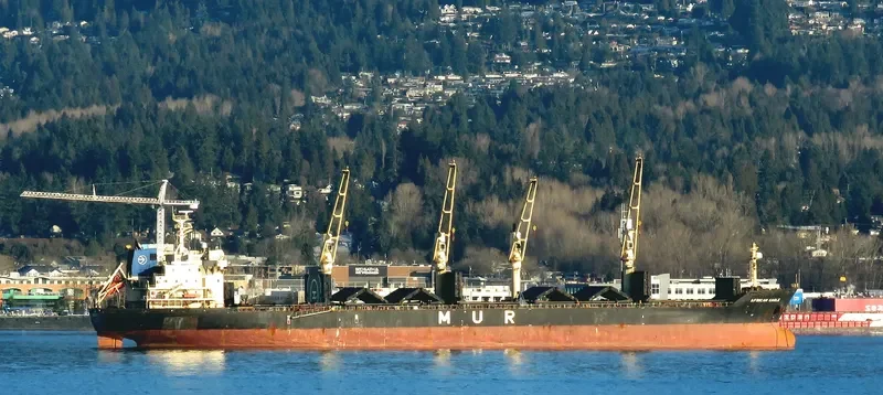 AFRICAN EAGLE Bulk Carrier IMO 9257046 photo 8