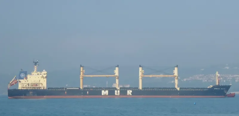 AFRICAN FALCON Bulk Carrier IMO 9257058