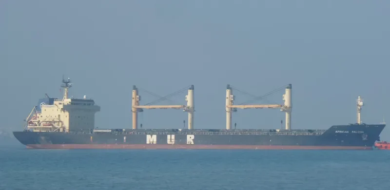 AFRICAN FALCON Bulk Carrier IMO 9257058 photo 2