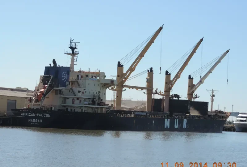 AFRICAN FALCON Bulk Carrier IMO 9257058 photo 5
