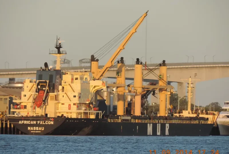 AFRICAN FALCON Bulk Carrier IMO 9257058 photo 6