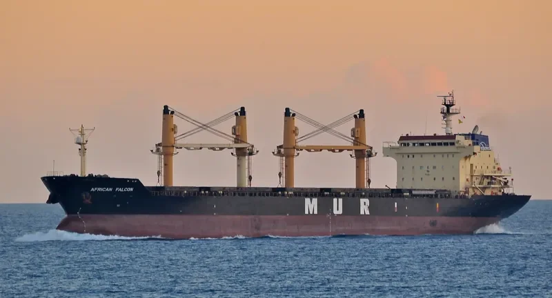 AFRICAN FALCON Bulk Carrier IMO 9257058 photo 7