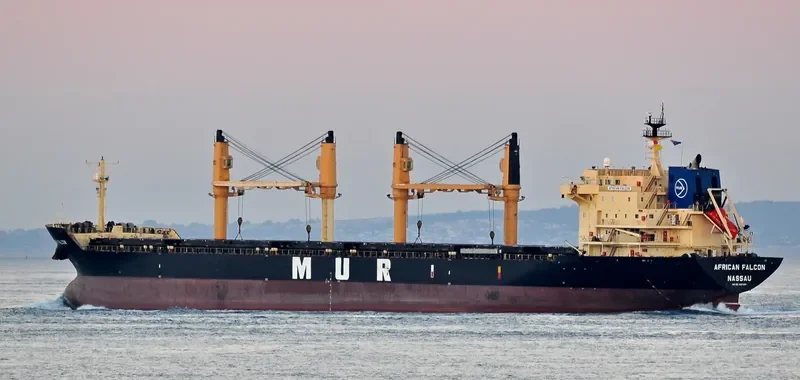 AFRICAN FALCON Bulk Carrier IMO 9257058 photo 8
