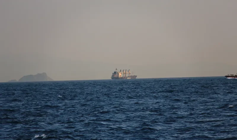 AFRICAN FALCON Bulk Carrier IMO 9257058 photo 9