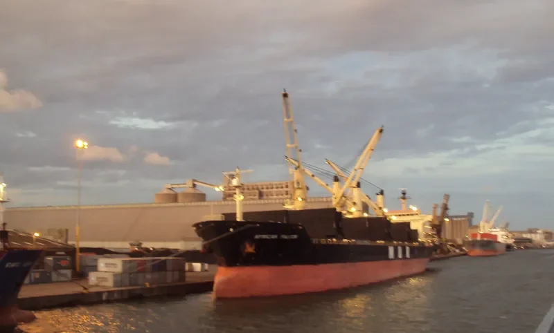 AFRICAN FALCON Bulk Carrier IMO 9257058 photo 10