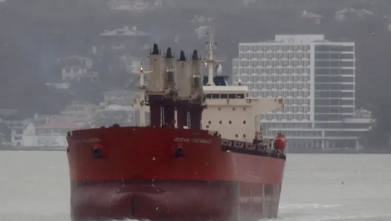 CHANG JING HAI Bulk Carrier IMO 9257060 photo 2