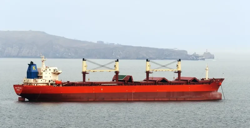 CHANG JING HAI Bulk Carrier IMO 9257060 photo 6