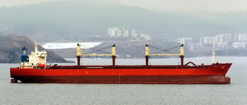 CHANG JING HAI Bulk Carrier IMO 9257060 photo 7