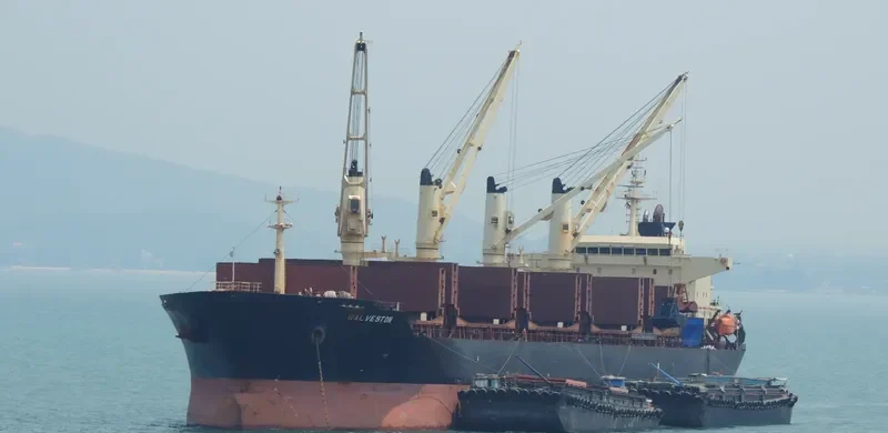 CHANG JING HAI Bulk Carrier IMO 9257060 photo 9