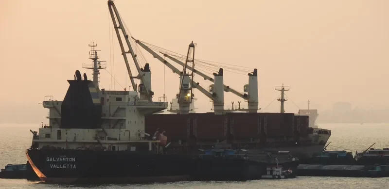 CHANG JING HAI Bulk Carrier IMO 9257060 photo 10