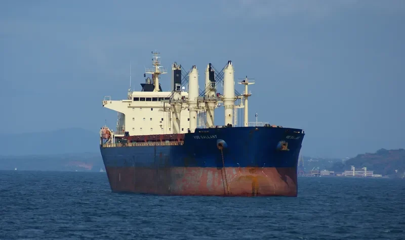GUO DIAN 36 Bulk Carrier IMO 9257072 photo 4