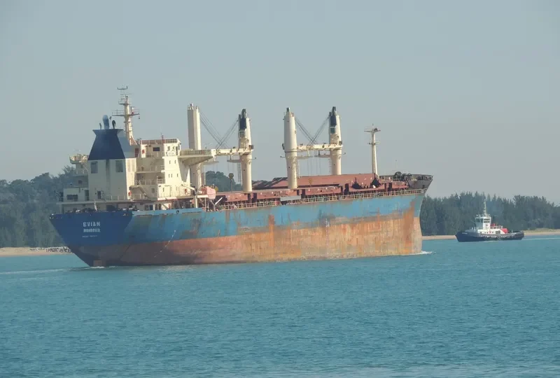 GUO DIAN 36 Bulk Carrier IMO 9257072 photo 9
