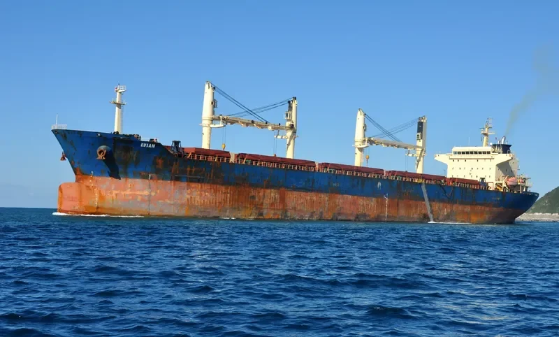 GUO DIAN 36 Bulk Carrier IMO 9257072 photo 10