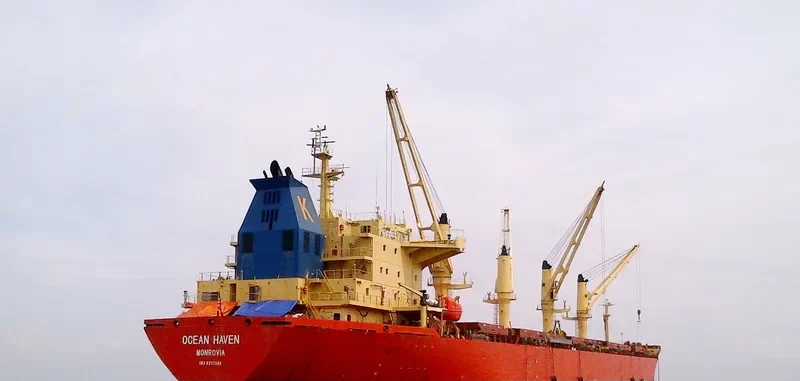 ELIM PEACE Bulk Carrier IMO 9257084 photo 3