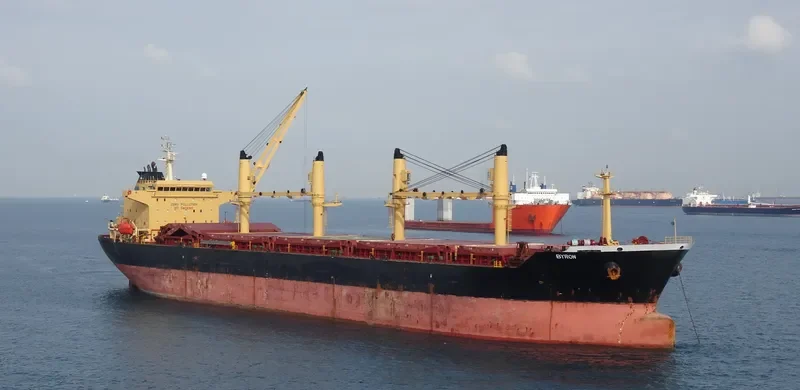 ELIM PEACE Bulk Carrier IMO 9257084 photo 4