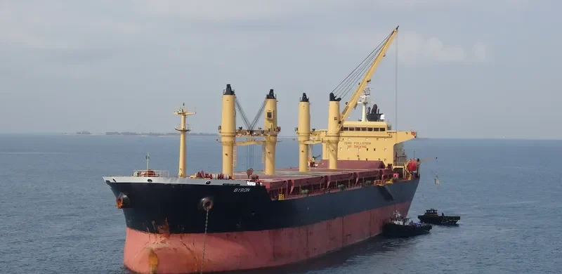 ELIM PEACE Bulk Carrier IMO 9257084 photo 5
