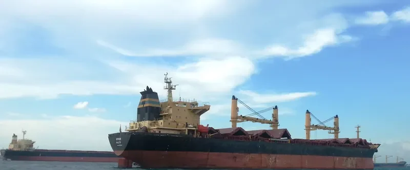 ELIM PEACE Bulk Carrier IMO 9257084 photo 6