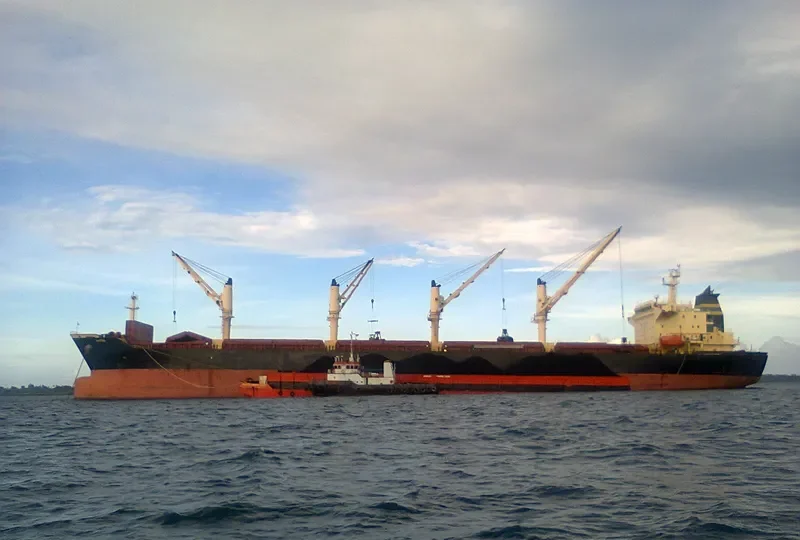 ELIM PEACE Bulk Carrier IMO 9257084 photo 8