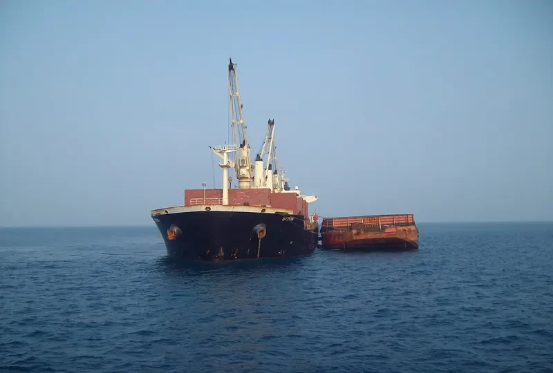 ELIM PEACE Bulk Carrier IMO 9257084 photo 9