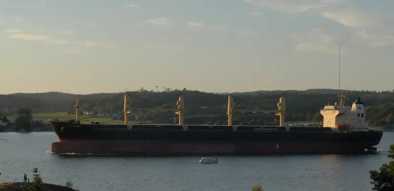 SHEN YU 69 Bulk Carrier IMO 9257096