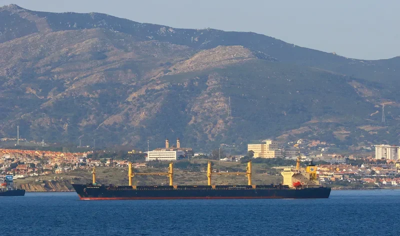 SHEN YU 69 Bulk Carrier IMO 9257096 photo 3