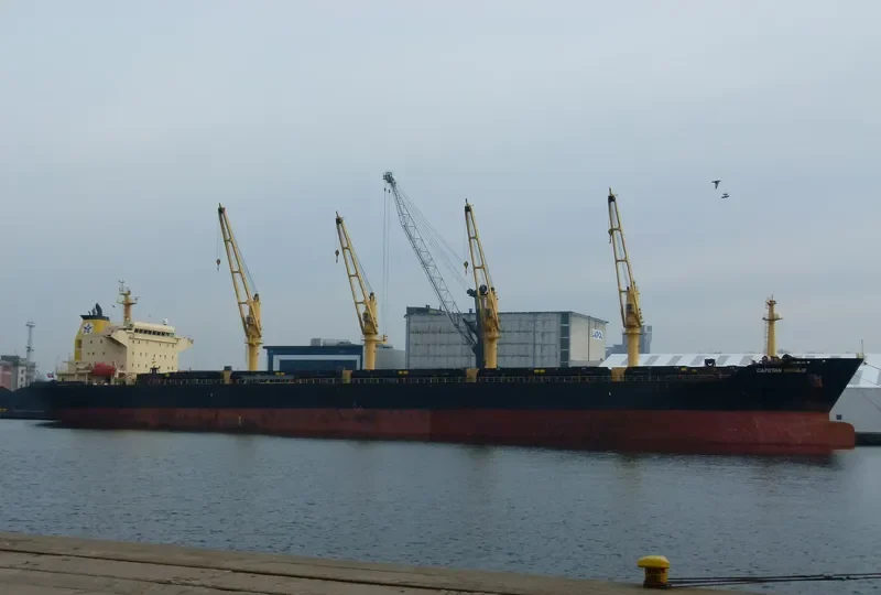 SHEN YU 69 Bulk Carrier IMO 9257096 photo 4