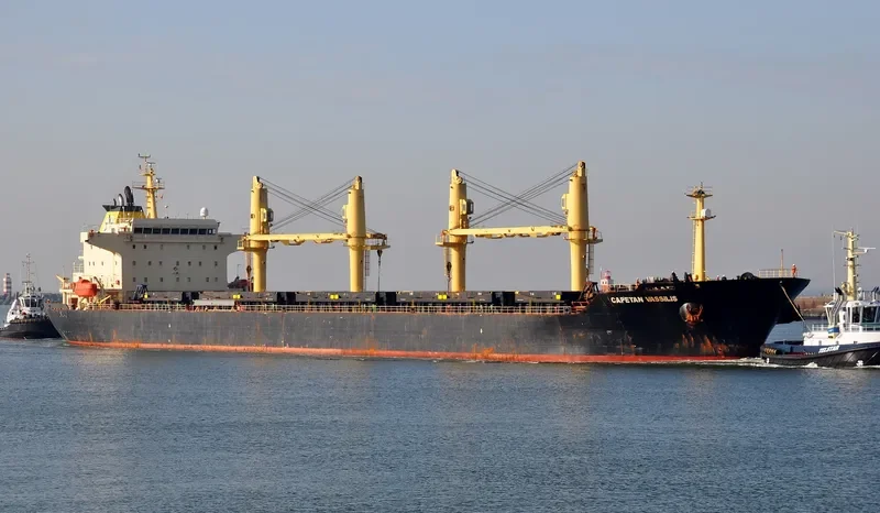 SHEN YU 69 Bulk Carrier IMO 9257096 photo 6